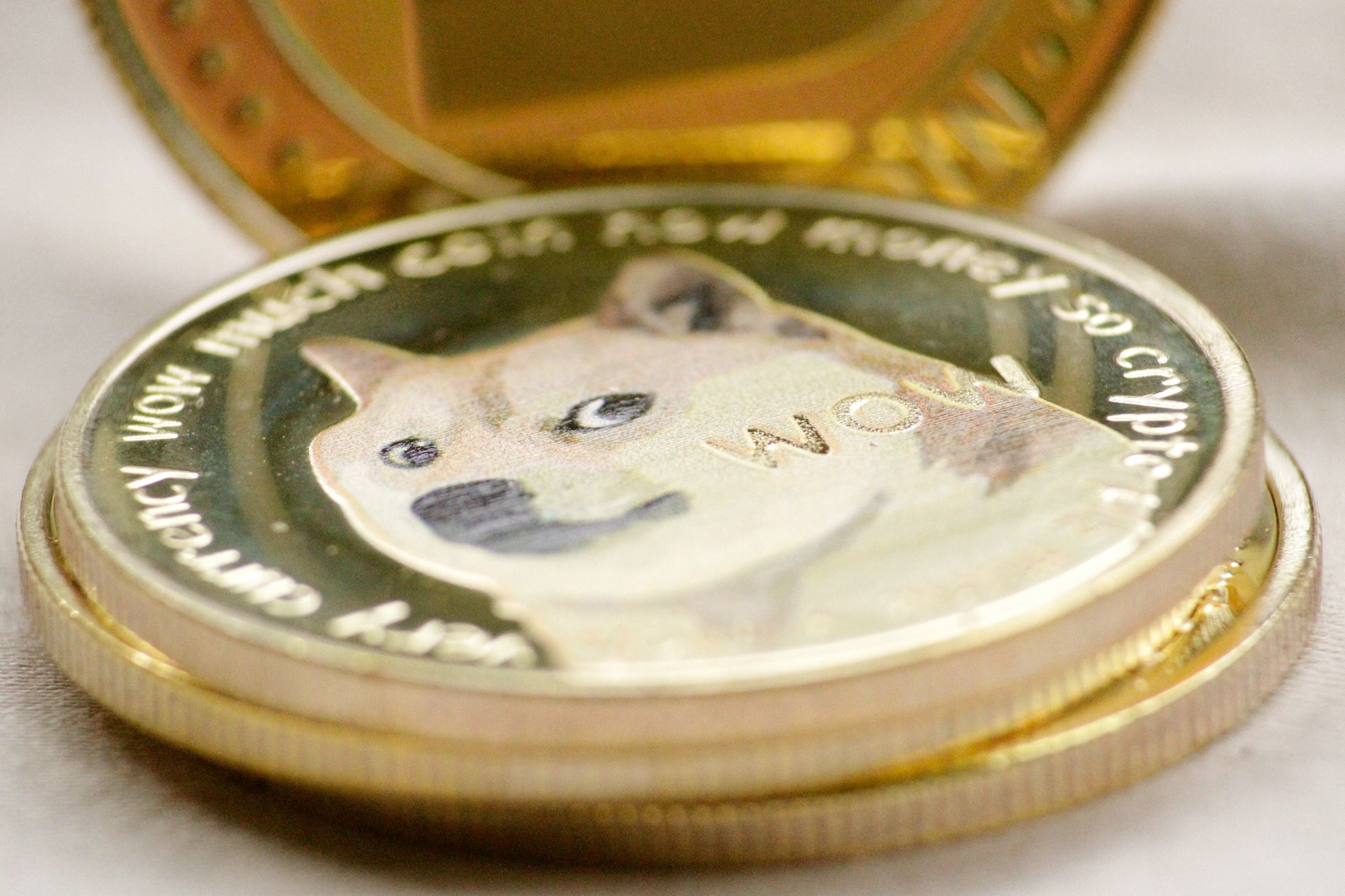 Bitcoin Altcoin Dogecoin Oh My Hm M